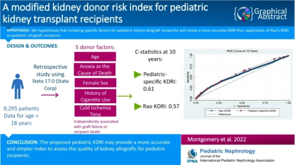 Kidney graft survival quality domain